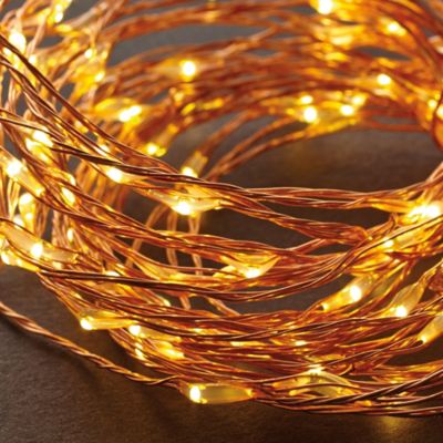 LED String Lights in Warm White/Copper - Bed Bath & Beyond